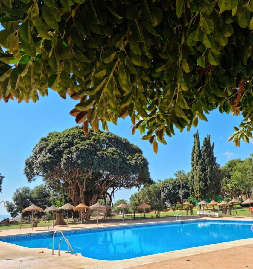 Lemon Tree Apartment ベナルマデナ エクステリア 写真